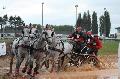 Photo n 29392&#10;Championnat de France 2013 - Lisieux&#10;Grard DUPONT
Photo Nadine TOUDIC&#10;Affiche 55 fois&#10;Ajoute le 19/10/2013 12:57:47 par Nadinetoudic&#10;&#10;--> Cliquer pour agrandir <--