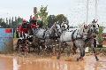 Photo n 29394&#10;Championnat de France 2013 - Lisieux&#10;Grard DUPONT
Photo Nadine TOUDIC&#10;Affiche 62 fois&#10;Ajoute le 19/10/2013 12:57:47 par Nadinetoudic&#10;&#10;--> Cliquer pour agrandir <--