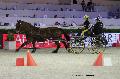Photo n 29663&#10;Paris'Cup 2013&#10;Herv CONAN
Photo Nadine TOUDIC&#10;Affiche 55 fois&#10;Ajoute le 10/12/2013 11:10:55 par Nadinetoudic&#10;&#10;--> Cliquer pour agrandir <--