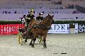 Photo n 29664&#10;Paris'Cup 2013&#10;Herv CONAN
Photo Nadine TOUDIC&#10;Affiche 33 fois&#10;Ajoute le 10/12/2013 11:10:55 par Nadinetoudic&#10;&#10;--> Cliquer pour agrandir <--