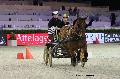 Photo n 29665&#10;Paris'Cup 2013&#10;Herv CONAN
Photo Nadine TOUDIC&#10;Affiche 37 fois&#10;Ajoute le 10/12/2013 11:10:55 par Nadinetoudic&#10;&#10;--> Cliquer pour agrandir <--