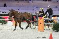 Photo n 29666&#10;Paris'Cup 2013&#10;Herv CONAN
Photo Nadine TOUDIC&#10;Affiche 35 fois&#10;Ajoute le 10/12/2013 11:14:57 par Nadinetoudic&#10;&#10;--> Cliquer pour agrandir <--
