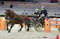 Photo n 29667&#10;Paris'Cup 2013&#10;Herv CONAN
Photo Nadine TOUDIC&#10;Affiche 65 fois&#10;Ajoute le 10/12/2013 11:14:57 par Nadinetoudic&#10;&#10;--> Cliquer pour agrandir <--