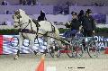 Photo n 29670&#10;Paris'Cup 2013&#10;Anne-Violaine BRISOU
Photo Nadine TOUDIC&#10;Affiche 63 fois&#10;Ajoute le 10/12/2013 11:14:57 par Nadinetoudic&#10;&#10;--> Cliquer pour agrandir <--