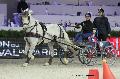 Photo n 29671&#10;Paris'Cup 2013&#10;Anne-Violaine BRISOU
Photo Nadine TOUDIC&#10;Affiche 42 fois&#10;Ajoute le 10/12/2013 11:14:57 par Nadinetoudic&#10;&#10;--> Cliquer pour agrandir <--