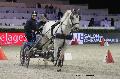 Photo n 29673&#10;Paris'Cup 2013&#10;Anne-Violaine BRISOU
Photo Nadine TOUDIC&#10;Affiche 38 fois&#10;Ajoute le 10/12/2013 11:14:57 par Nadinetoudic&#10;&#10;--> Cliquer pour agrandir <--