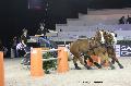 Photo n 29683&#10;Paris'Cup 2013&#10;Franois BOERLEN
Photo Nadine TOUDIC&#10;Affiche 126 fois&#10;Ajoute le 10/12/2013 11:20:35 par Nadinetoudic&#10;&#10;--> Cliquer pour agrandir <--