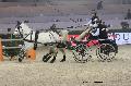 Photo n 29684&#10;Paris'Cup 2013&#10;Axel MANCAUX
Photo Nadine TOUDIC&#10;Affiche 60 fois&#10;Ajoute le 10/12/2013 11:20:35 par Nadinetoudic&#10;&#10;--> Cliquer pour agrandir <--