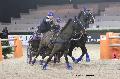 Photo n 29690&#10;Paris'Cup 2013&#10;Bernard POUVREAU
Photo Nadine TOUDIC&#10;Affiche 59 fois&#10;Ajoute le 10/12/2013 11:20:36 par Nadinetoudic&#10;&#10;--> Cliquer pour agrandir <--