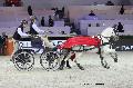 Photo n 29716&#10;Paris'Cup 2013&#10;Axel MANCAUX
Photo Nadine TOUDIC&#10;Affiche 98 fois&#10;Ajoute le 10/12/2013 11:29:49 par Nadinetoudic&#10;&#10;--> Cliquer pour agrandir <--