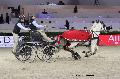 Photo n 29717&#10;Paris'Cup 2013&#10;Axel MANCAUX
Photo Nadine TOUDIC&#10;Affiche 220 fois&#10;Ajoute le 10/12/2013 11:29:49 par Nadinetoudic&#10;&#10;--> Cliquer pour agrandir <--