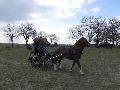 Photo n 32420&#10;LIHUS 2015&#10;&#10;Affiche 11 fois&#10;Ajoute le 22/03/2015 18:38:54 par JeanClaudeGrognet&#10;&#10;--> Cliquer pour agrandir <--