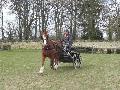 Photo n 32422&#10;LIHUS 2015&#10;&#10;Affiche 15 fois&#10;Ajoute le 22/03/2015 18:38:54 par JeanClaudeGrognet&#10;&#10;--> Cliquer pour agrandir <--