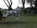 Photo n 32440&#10;LIHUS 2015&#10;&#10;Affiche 14 fois&#10;Ajoute le 22/03/2015 18:38:55 par JeanClaudeGrognet&#10;&#10;--> Cliquer pour agrandir <--