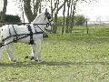 Photo n 32443&#10;LIHUS 2015&#10;&#10;Affiche 10 fois&#10;Ajoute le 22/03/2015 18:38:55 par JeanClaudeGrognet&#10;&#10;--> Cliquer pour agrandir <--