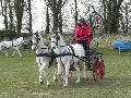 Photo n 32448&#10;LIHUS 2015&#10;&#10;Affiche 22 fois&#10;Ajoute le 22/03/2015 18:38:55 par JeanClaudeGrognet&#10;&#10;--> Cliquer pour agrandir <--