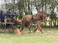 Photo n 32455&#10;LIHUS 2015&#10;&#10;Affiche 32 fois&#10;Ajoute le 22/03/2015 18:38:55 par JeanClaudeGrognet&#10;&#10;--> Cliquer pour agrandir <--