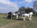 Photo n 32456&#10;LIHUS 2015&#10;&#10;Affiche 30 fois&#10;Ajoute le 22/03/2015 18:38:55 par JeanClaudeGrognet&#10;&#10;--> Cliquer pour agrandir <--