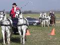 Photo n 32459&#10;LIHUS 2015&#10;&#10;Affiche 27 fois&#10;Ajoute le 22/03/2015 18:38:55 par JeanClaudeGrognet&#10;&#10;--> Cliquer pour agrandir <--