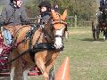 Photo n 32465&#10;LIHUS 2015&#10;&#10;Affiche 24 fois&#10;Ajoute le 22/03/2015 18:38:55 par JeanClaudeGrognet&#10;&#10;--> Cliquer pour agrandir <--