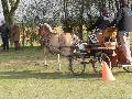 Photo n 32467&#10;LIHUS 2015&#10;&#10;Affiche 29 fois&#10;Ajoute le 22/03/2015 18:38:56 par JeanClaudeGrognet&#10;&#10;--> Cliquer pour agrandir <--
