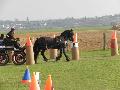 Photo n 32471&#10;LIHUS 2015&#10;&#10;Affiche 25 fois&#10;Ajoute le 22/03/2015 18:38:56 par JeanClaudeGrognet&#10;&#10;--> Cliquer pour agrandir <--