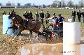 Photo n 32522&#10;Concours International de Lisieux 2015&#10;Fabien GUILLEMARRE - France.
Photo Chevalandrieu&#10;Affiche 13 fois&#10;Ajoute le 30/03/2015 13:59:29 par Nadinetoudic&#10;&#10;--> Cliquer pour agrandir <--