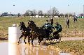 Photo n 32524&#10;Concours International de Lisieux 2015&#10;Jean-Etienne TRIADOU - France.
Photo Chevalandrieu&#10;Affiche 17 fois&#10;Ajoute le 30/03/2015 13:59:29 par Nadinetoudic&#10;&#10;--> Cliquer pour agrandir <--