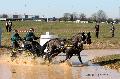 Photo n 32526&#10;Concours International de Lisieux 2015&#10;Jean-Etienne TRIADOU - France.
Photo Chevalandrieu&#10;Affiche 29 fois&#10;Ajoute le 30/03/2015 13:59:29 par Nadinetoudic&#10;&#10;--> Cliquer pour agrandir <--