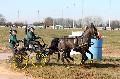 Photo n° 32528
Concours International de Lisieux 2015
Jean-Etienne TRIADOU - France.
Photo Chevalandrieu
Affichée 10 fois
Ajoutée le 30/03/2015 13:59:29 par Nadinetoudic

--> Cliquer pour agrandir <--