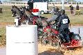 Photo n 32531&#10;Concours International de Lisieux 2015&#10;Vincent SERAZIN - France.
Photo Chevalandrieu&#10;Affiche 14 fois&#10;Ajoute le 30/03/2015 13:59:29 par Nadinetoudic&#10;&#10;--> Cliquer pour agrandir <--