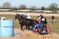 Photo n 32532&#10;Concours International de Lisieux 2015&#10;Eve CADI VERNA - France.
Photo Chevalandrieu&#10;Affiche 12 fois&#10;Ajoute le 30/03/2015 13:59:29 par Nadinetoudic&#10;&#10;--> Cliquer pour agrandir <--