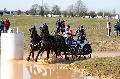 Photo n 32533&#10;Concours International de Lisieux 2015&#10;Eve CADI VERNA - France.
Photo Chevalandrieu&#10;Affiche 15 fois&#10;Ajoute le 30/03/2015 13:59:29 par Nadinetoudic&#10;&#10;--> Cliquer pour agrandir <--