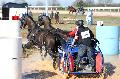 Photo n 32534&#10;Concours International de Lisieux 2015&#10;Eve CADI VERNA - France.
Photo Chevalandrieu&#10;Affiche 18 fois&#10;Ajoute le 30/03/2015 13:59:29 par Nadinetoudic&#10;&#10;--> Cliquer pour agrandir <--