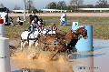 Photo n 32537&#10;Concours International de Lisieux 2015&#10;Mlanie BAILLIACHE - France.
Photo Chevalandrieu&#10;Affiche 8 fois&#10;Ajoute le 30/03/2015 15:03:00 par Nadinetoudic&#10;&#10;--> Cliquer pour agrandir <--