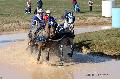 Photo n 32538&#10;Concours International de Lisieux 2015&#10;Franck GRIMONPREZ - France.
Photo Chevalandrieu&#10;Affiche 129 fois&#10;Ajoute le 30/03/2015 15:13:20 par Nadinetoudic&#10;&#10;--> Cliquer pour agrandir <--