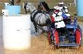 Photo n 32539&#10;Concours International de Lisieux 2015&#10;Franck GRIMONPREZ - France.
Photo Chevalandrieu&#10;Affiche 20 fois&#10;Ajoute le 30/03/2015 15:13:20 par Nadinetoudic&#10;&#10;--> Cliquer pour agrandir <--