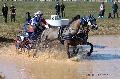 Photo n 32540&#10;Concours International de Lisieux 2015&#10;Franck GRIMONPREZ - France.
Photo Chevalandrieu&#10;Affiche 17 fois&#10;Ajoute le 30/03/2015 15:13:20 par Nadinetoudic&#10;&#10;--> Cliquer pour agrandir <--
