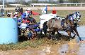 Photo n 32541&#10;Concours International de Lisieux 2015&#10;Franck GRIMONPREZ - France.
Photo Chevalandrieu&#10;Affiche 14 fois&#10;Ajoute le 30/03/2015 15:13:20 par Nadinetoudic&#10;&#10;--> Cliquer pour agrandir <--