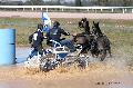 Photo n 32543&#10;Concours International de Lisieux 2015&#10;Edouard MORICHON - France.
Photo Chevalandrieu&#10;Affiche 23 fois&#10;Ajoute le 30/03/2015 15:13:20 par Nadinetoudic&#10;&#10;--> Cliquer pour agrandir <--