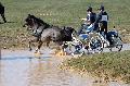 Photo n 32545&#10;Concours International de Lisieux 2015&#10;Edouard MORICHON - France.
Photo Chevalandrieu&#10;Affiche 13 fois&#10;Ajoute le 30/03/2015 15:13:20 par Nadinetoudic&#10;&#10;--> Cliquer pour agrandir <--