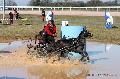 Photo n 32546&#10;Concours International de Lisieux 2015&#10;Ursula HUSGES - Allemagne.
Photo Chevalandrieu&#10;Affiche 11 fois&#10;Ajoute le 30/03/2015 15:13:20 par Nadinetoudic&#10;&#10;--> Cliquer pour agrandir <--