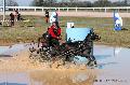 Photo n° 32546
Concours International de Lisieux 2015
Ursula HUSGES - Allemagne.
Photo Chevalandrieu
Affichée 10 fois
Ajoutée le 30/03/2015 15:13:20 par Nadinetoudic

--> Cliquer pour agrandir <--