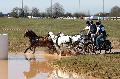 Photo n 32547&#10;Concours International de Lisieux 2015&#10;Mlanie BAILLIACHE - France.
Photo Chevalandrieu&#10;Affiche 14 fois&#10;Ajoute le 30/03/2015 15:13:20 par Nadinetoudic&#10;&#10;--> Cliquer pour agrandir <--