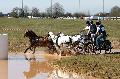 Photo n° 32547
Concours International de Lisieux 2015
Mélanie BAILLIACHE - France.
Photo Chevalandrieu
Affichée 12 fois
Ajoutée le 30/03/2015 15:13:20 par Nadinetoudic

--> Cliquer pour agrandir <--