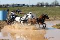Photo n 32548&#10;Concours International de Lisieux 2015&#10;Mlanie BAILLIACHE - France.
Photo Chevalandrieu&#10;Affiche 12 fois&#10;Ajoute le 30/03/2015 15:13:20 par Nadinetoudic&#10;&#10;--> Cliquer pour agrandir <--