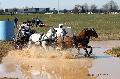 Photo n° 32548
Concours International de Lisieux 2015
Mélanie BAILLIACHE - France.
Photo Chevalandrieu
Affichée 9 fois
Ajoutée le 30/03/2015 15:13:20 par Nadinetoudic

--> Cliquer pour agrandir <--