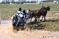 Photo n° 32549
Concours International de Lisieux 2015
Mélanie BAILLIACHE - France.
Photo Chevalandrieu
Affichée 8 fois
Ajoutée le 30/03/2015 15:13:20 par Nadinetoudic

--> Cliquer pour agrandir <--