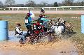 Photo n 32550&#10;Concours International de Lisieux 2015&#10;Nicolas CLAIR - France.
Photo Chevalandrieu&#10;Affiche 38 fois&#10;Ajoute le 30/03/2015 15:13:20 par Nadinetoudic&#10;&#10;--> Cliquer pour agrandir <--