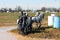 Photo n° 32554
Concours International de Lisieux 2015
José RICHE - Belgique.
Photo Chevalandrieu
Affichée 8 fois
Ajoutée le 30/03/2015 15:23:39 par Nadinetoudic

--> Cliquer pour agrandir <--